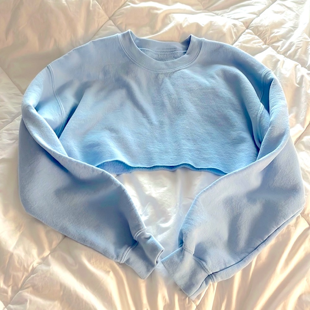 Danielle Guizio NYC custom cropped pastel blue hoodie